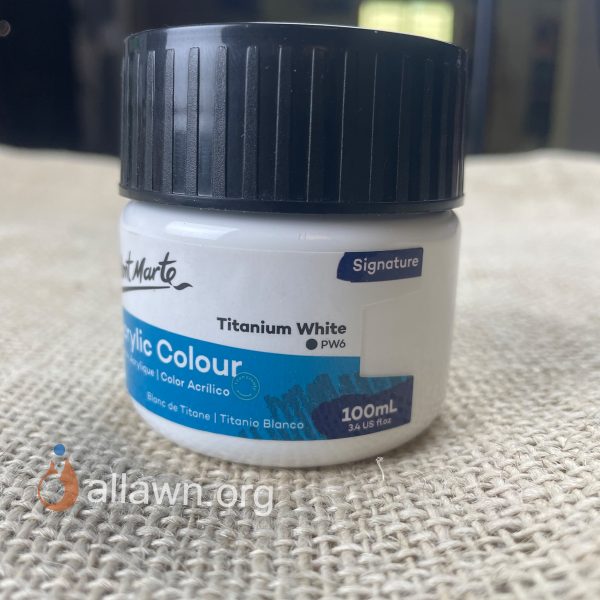 Titanium White Mont Marte100ml